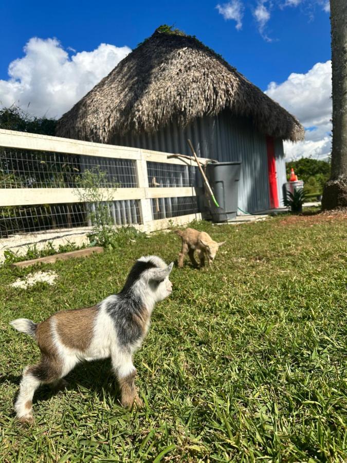Arritola B And B Ranch ホームステッド エクステリア 写真