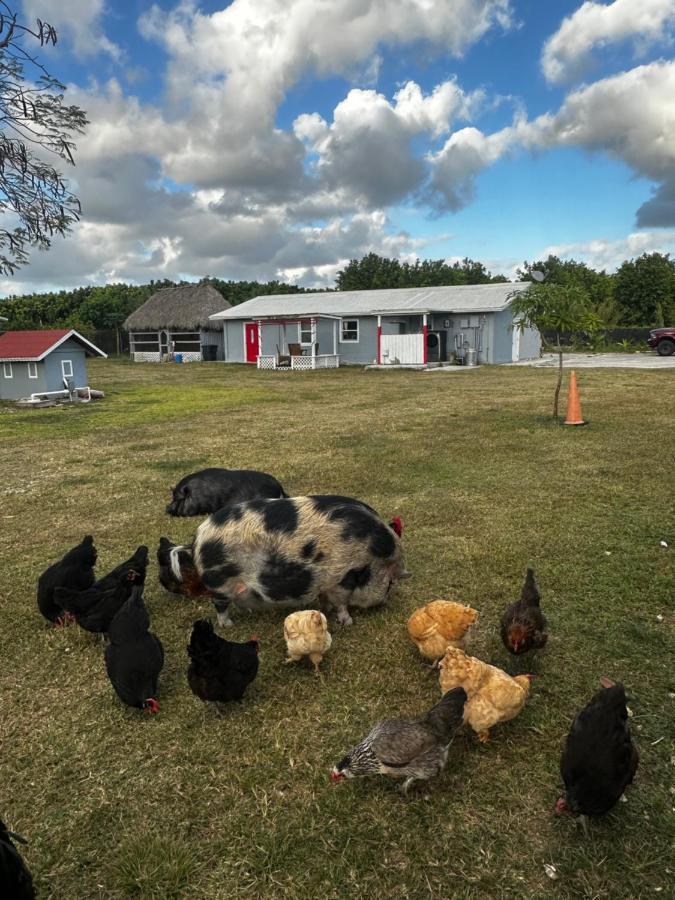Arritola B And B Ranch ホームステッド エクステリア 写真